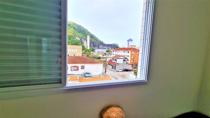 Casa, 5 quartos, 320 m² - Foto 31