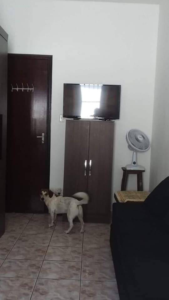 Casa, 2 quartos, 69 m² - Foto 14