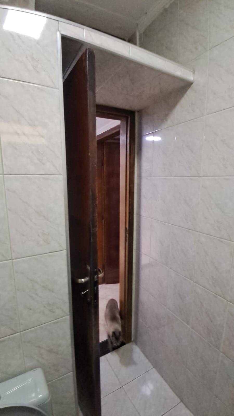 Apartamento à venda com 2 quartos, 77m² - Foto 35