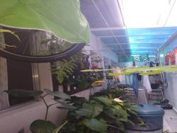 Casa para Venda em São Vicente - 4