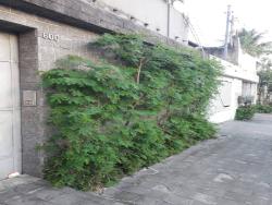 Área para Venda em São Vicente - 5
